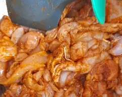 Step <p>Pollo marinado.</p><p>Coloque un bol sobre la tapa del vaso y pese el pollo. Añada el zumo de limón, la sal, la pimienta, el Pimentón, el curry, la canela y el ajo. Mezcle bien con la espátula y deje macerar un mínimo de 30 minutos (también puede dejarlo en el frigorífico de un día para otro)</p> illustration