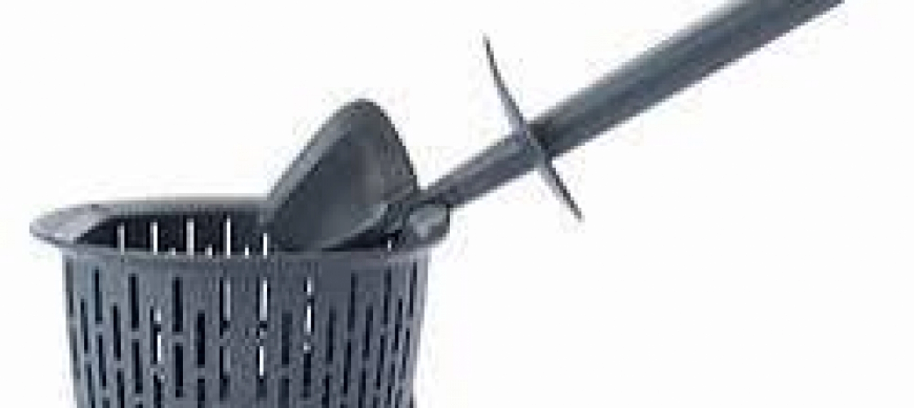 EL CESTILLO THERMOMIX: COCINA POR INMERSIÓN